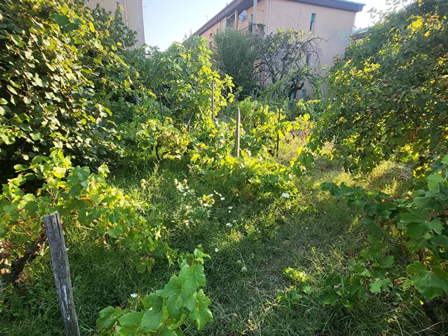 Immagine 105 di Casa indipendente in vendita  in Via Giotto 22 a Acri