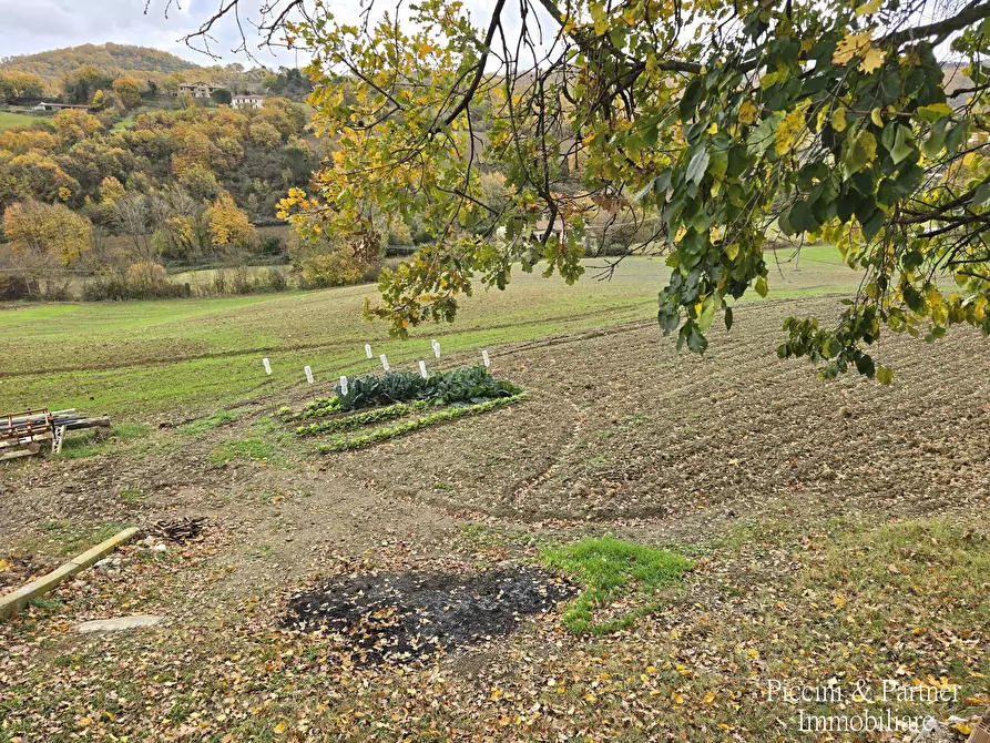 Immagine 8 di Terreno agricolo in vendita  in Località Colonnata a Gubbio