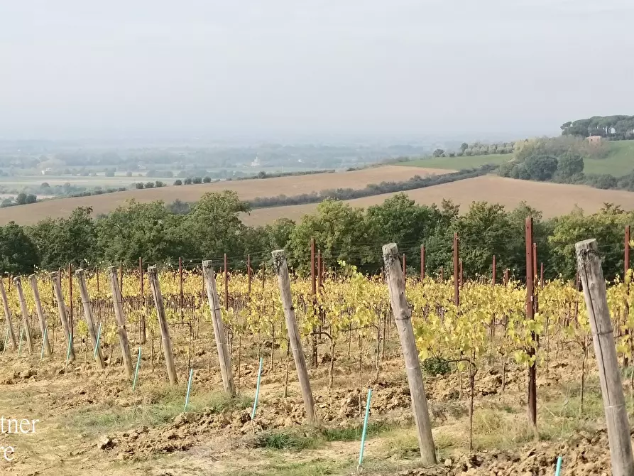 Immagine 2 di Terreno agricolo in vendita  in Via Soccorso 63 a Cortona