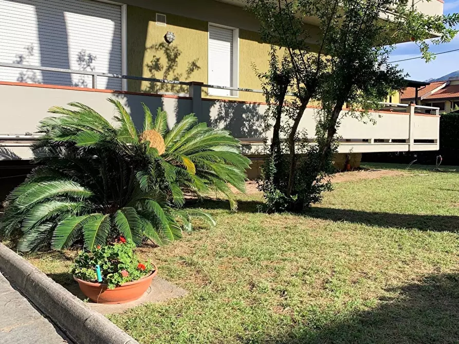 Immagine 1 di Quadrilocale in vendita  in Via Magliano 15 a Massa