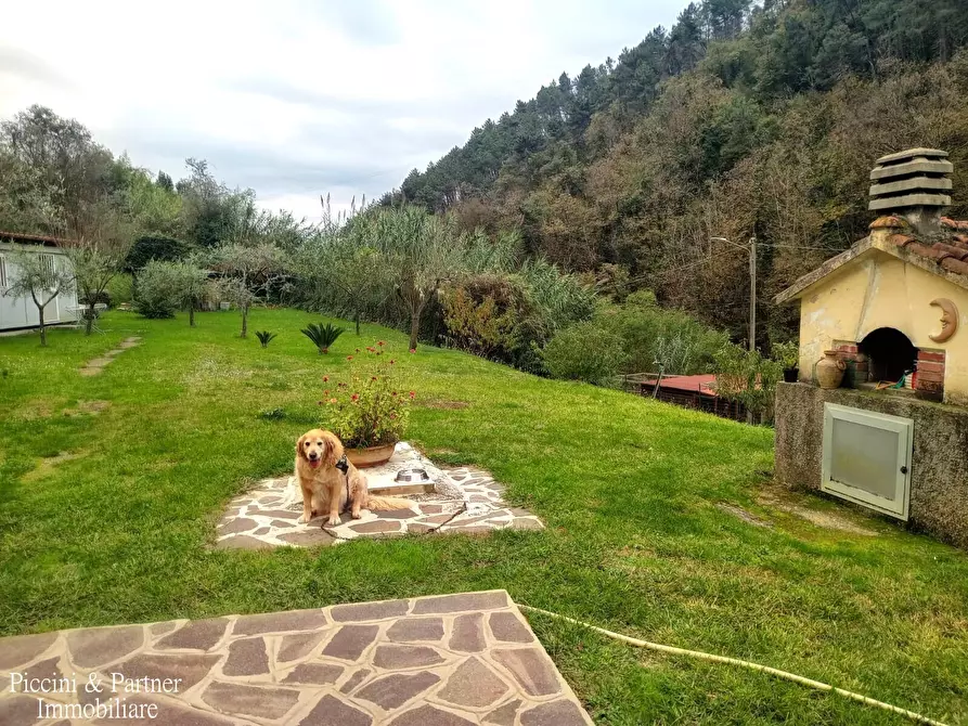 Immagine 41 di Villa in vendita  in Via Giovan Pietro Vitali a Massa