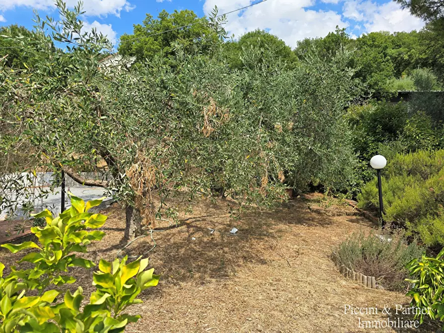 Immagine 76 di Villa in vendita  in Via Marzabotto 11 a Magione