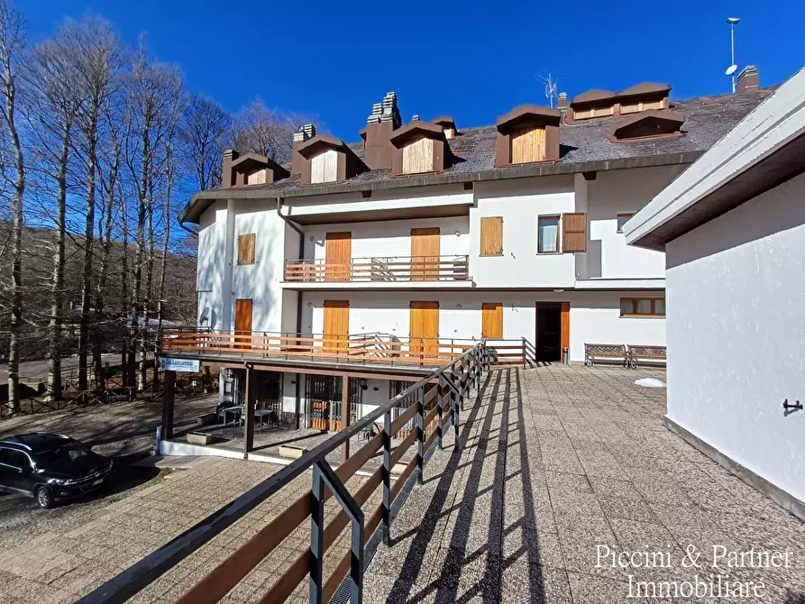 Immagine 29 di Bilocale in vendita  in Prato della Marsiliana Monte Amiata a Seggiano