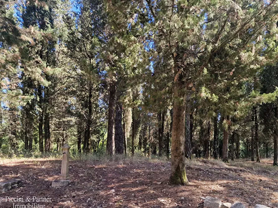 Immagine 52 di Rustico / casale in vendita  in Ex S. Maria a Umbertide