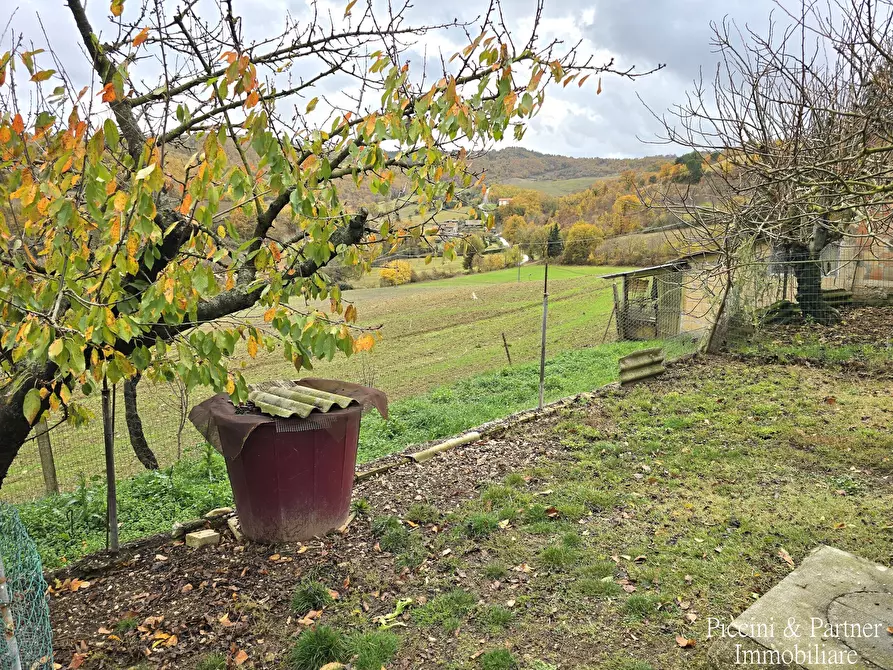Immagine 5 di Terreno agricolo in vendita  in Località Colonnata a Gubbio