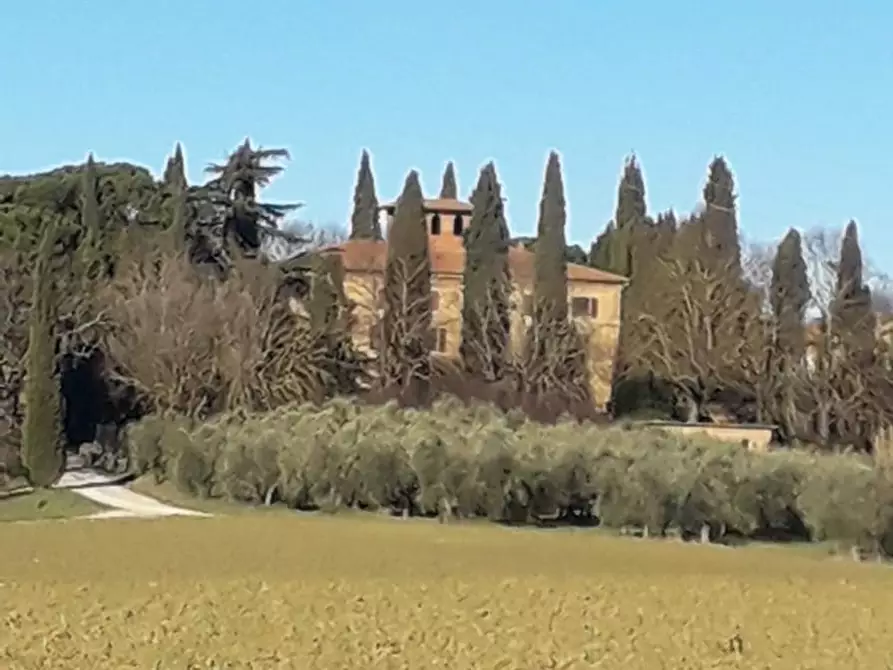 Immagine 46 di Rustico / casale in vendita  in Località I Poggi 28 a Castiglione Del Lago