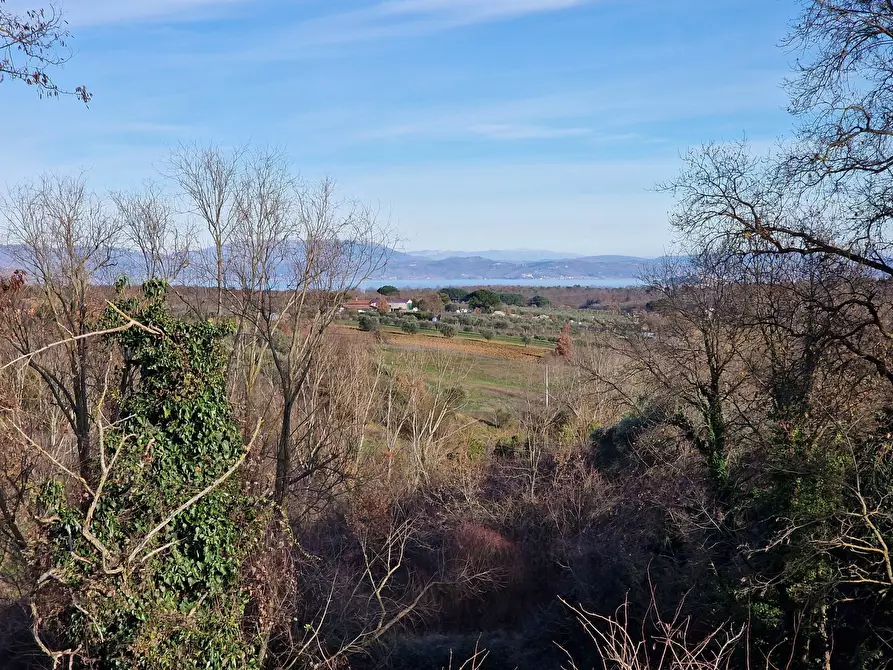 Immagine 32 di Casa bifamiliare in vendita  in Via Milano a Castiglione Del Lago