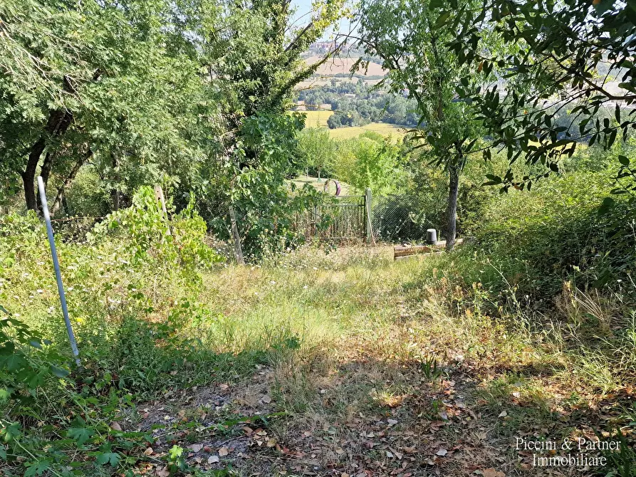 Immagine 55 di Rustico / casale in vendita  in QC38+9R Todi PG a Todi