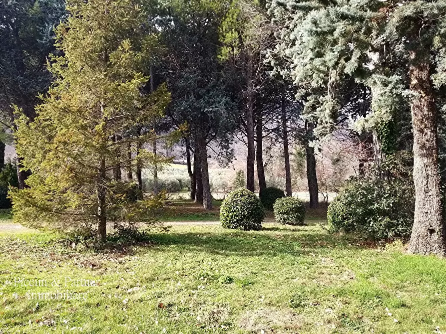 Immagine 44 di Rustico / casale in vendita  in Strada Vic. della Montagna 9 a Cetona