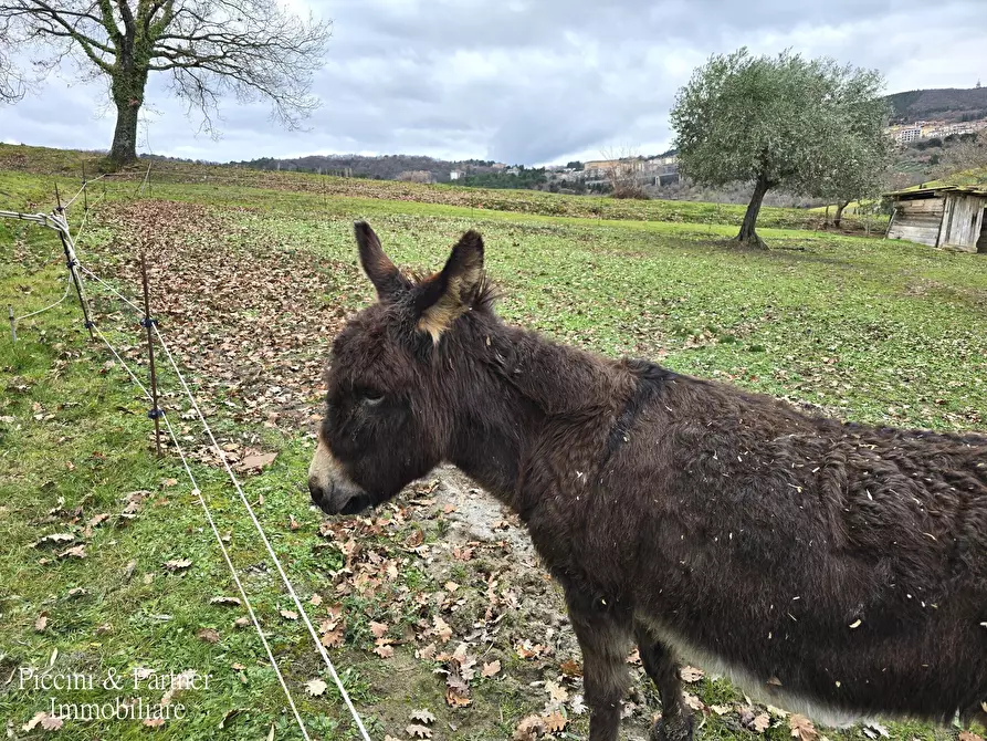 Immagine 64 di Casa indipendente in vendita  in Strada di Pereta a Chianciano Terme