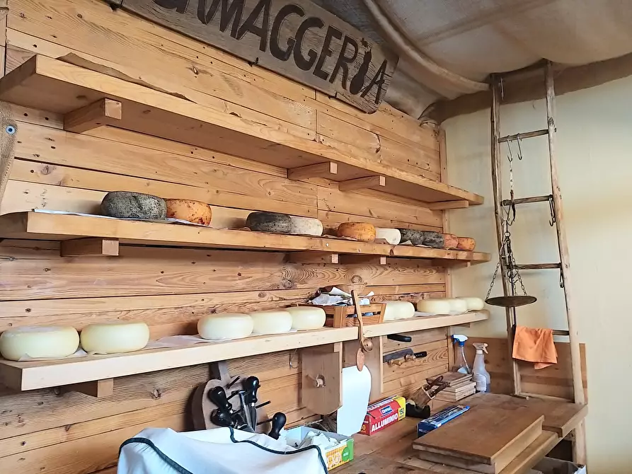 Immagine 6 di Attività commerciale in vendita  in Strada per Chianciano 3 a Montepulciano