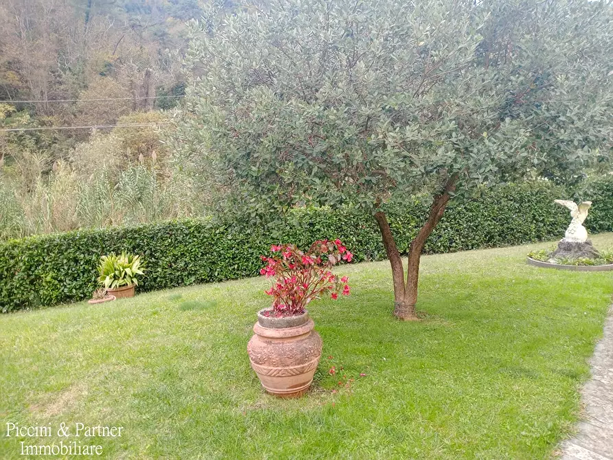 Immagine 36 di Villa in vendita  in Via Giovan Pietro Vitali a Massa