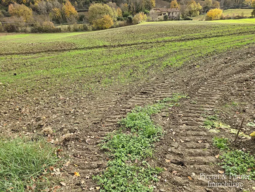 Immagine 10 di Terreno agricolo in vendita  in Località Colonnata a Gubbio