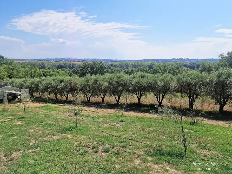 Immagine 96 di Villa in vendita  in Via Agreste a Corciano