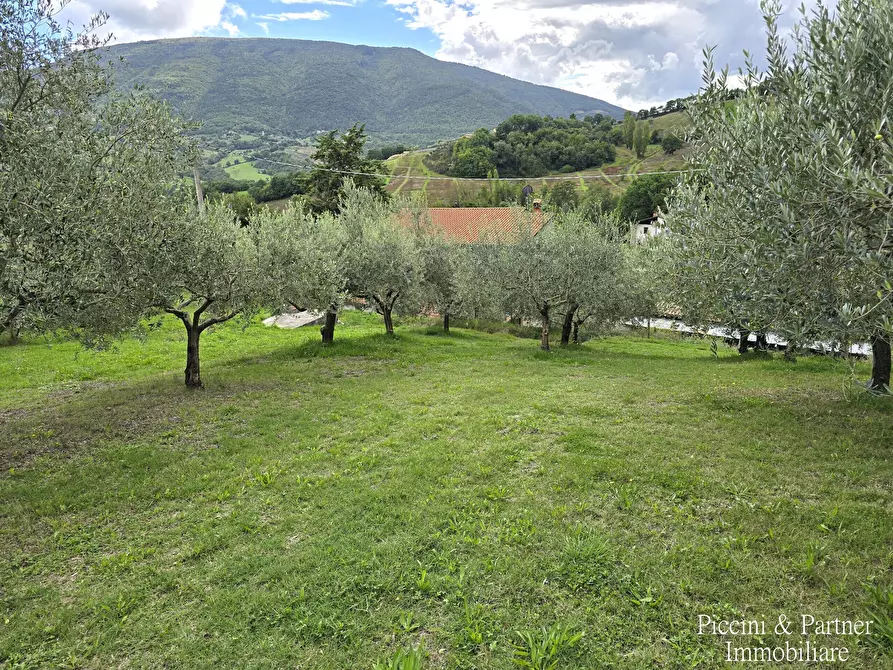 Immagine 8 di Rustico / casale in vendita  in SR 444 Pian della Pieve a Assisi