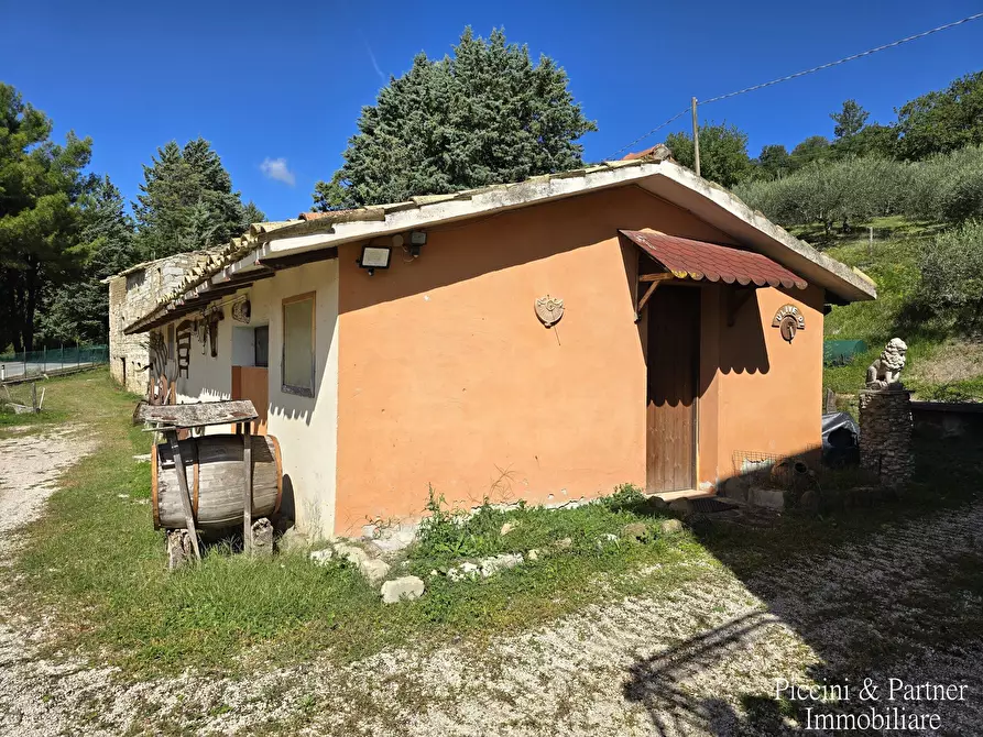 Immagine 88 di Rustico / casale in vendita  in SR 444 Pian della Pieve a Assisi