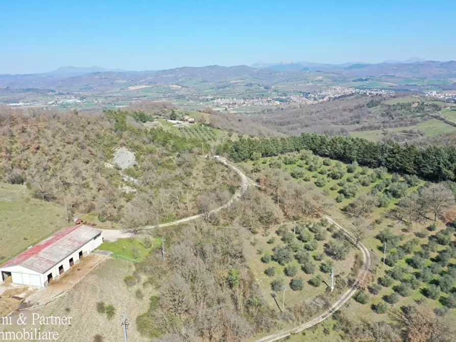 Immagine 1 di Rustico / casale in vendita  in Migianella a Umbertide