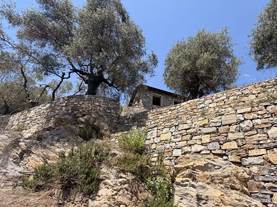 Immagine 28 di Villa in vendita  in Strada Interpoderale Moltedo - Ciai 13 a Diano San Pietro
