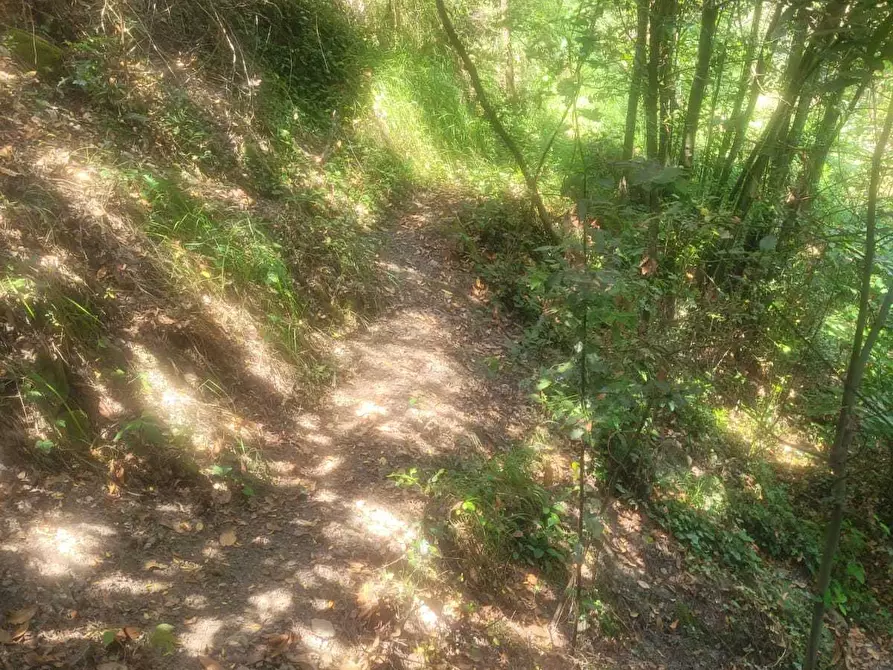 Immagine 53 di Rustico / casale in vendita  in Via Val D'Olivi 185 a San Remo