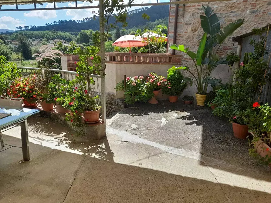Immagine 68 di Rustico / casale in vendita  a Camaiore