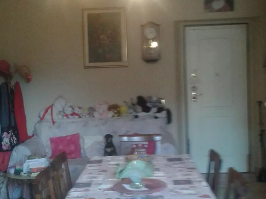 Immagine 4 di Appartamento in vendita  a Camaiore