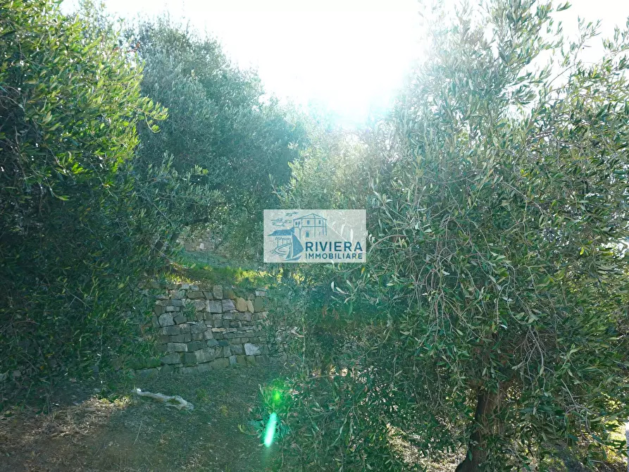 Immagine 63 di Villa in vendita  in Via Giulio Cesare 2 a Santo Stefano Al Mare