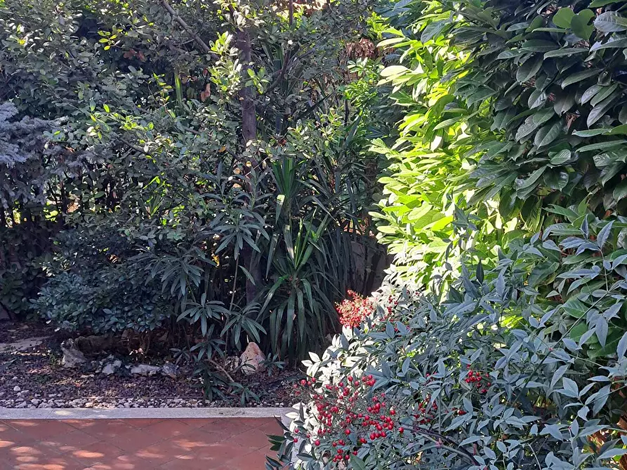 Immagine 31 di Villa in vendita  in Via del Mare 200 a Lanciano