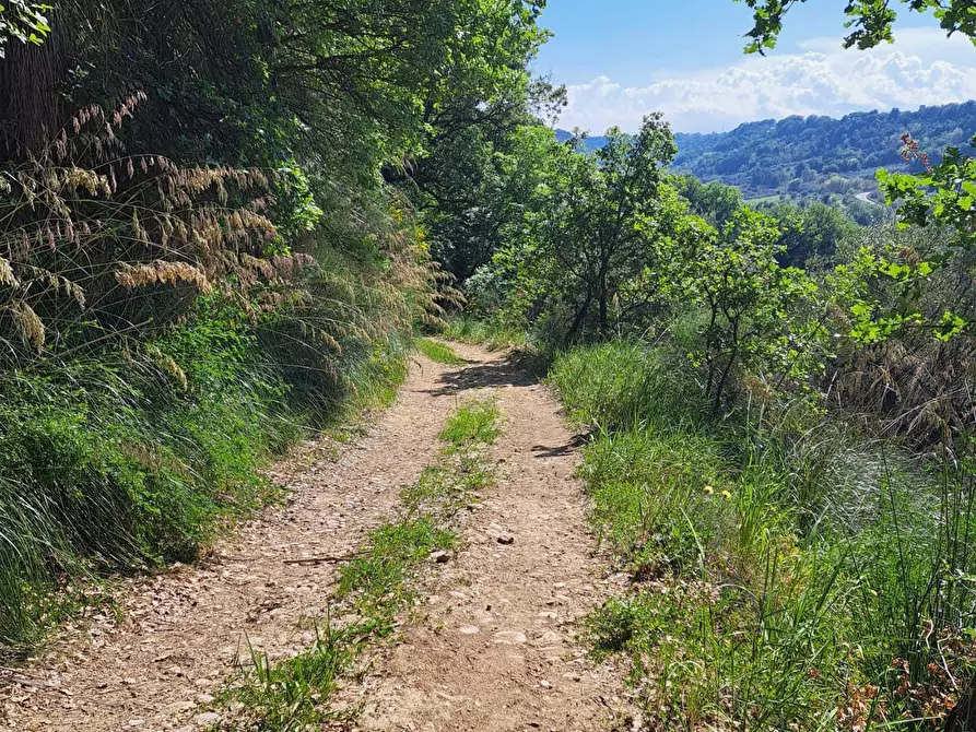 Immagine 9 di Rustico / casale in vendita  in C.DA CASTELLANA a Treglio