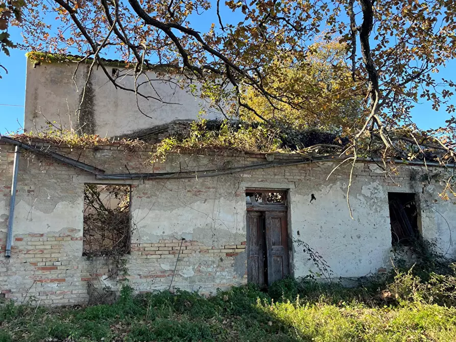 Immagine 24 di Casa indipendente in vendita  in contrada ranco 55 a Paglieta