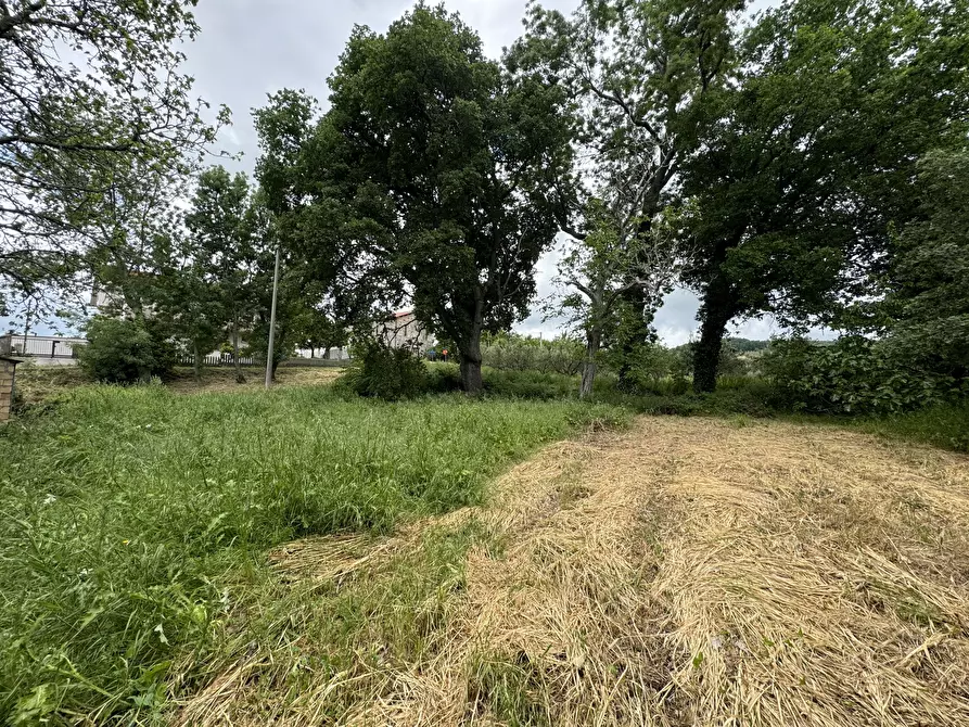 Immagine 26 di Casa indipendente in vendita  in torricchio a Tornareccio