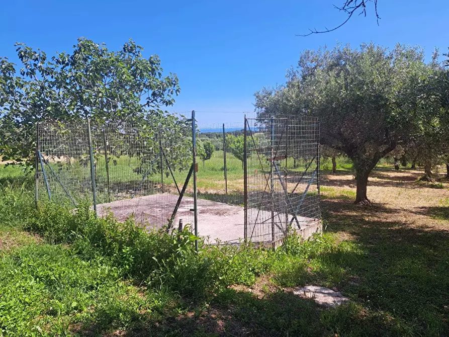 Immagine 51 di Casa indipendente in vendita  in contrada follani 260 a Lanciano