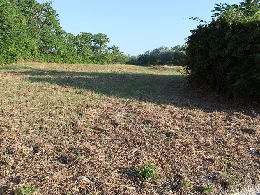 Immagine 5 di Terreno industriale in vendita  in Marcianese a Lanciano