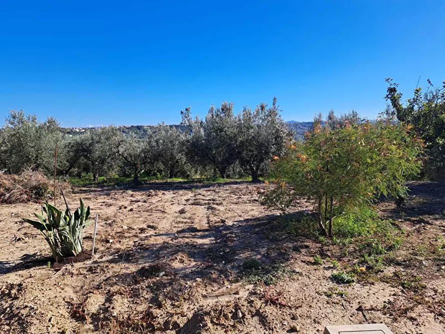 Immagine 37 di Rustico / casale in vendita  in via colle della fonte 94 a Frisa