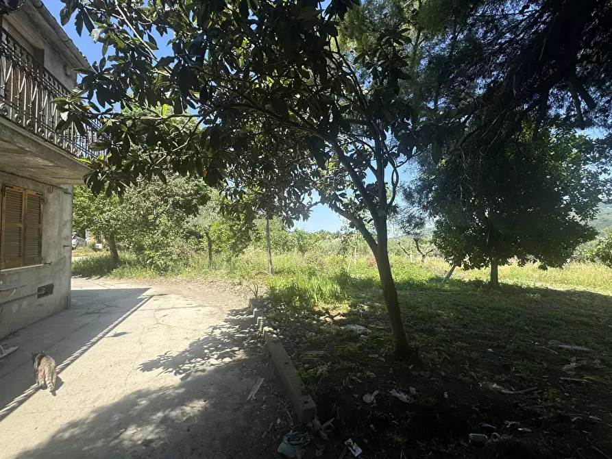 Immagine 12 di Casa semindipendente in vendita  in Via Lascianna 9 a Roccascalegna