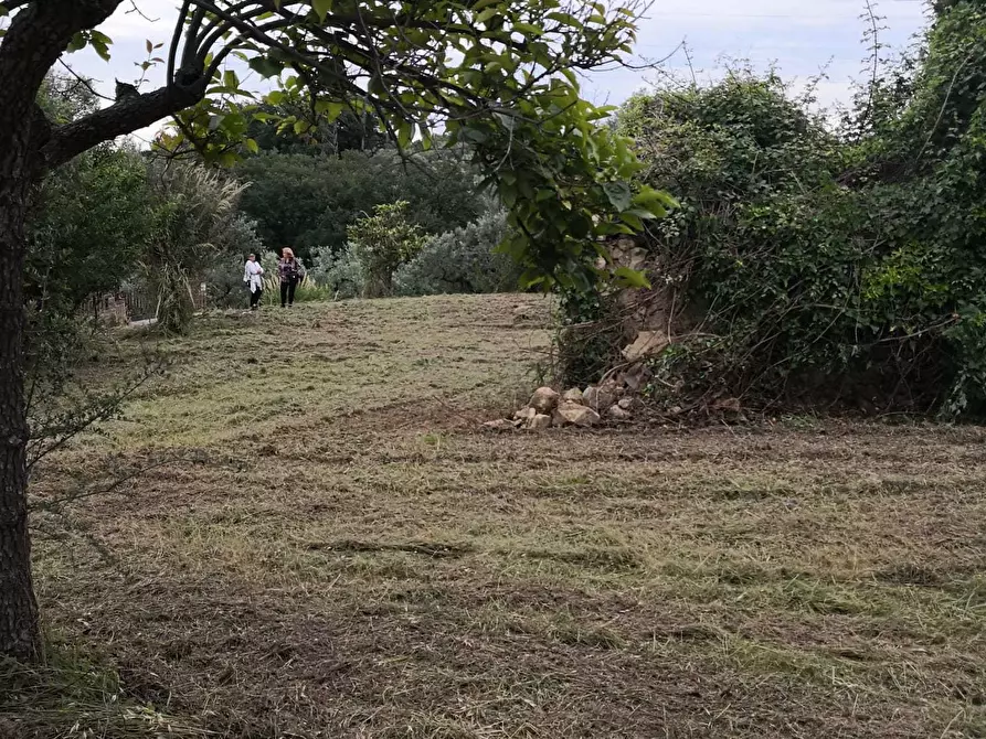 Immagine 10 di Terreno edificabile in vendita  in Via Puglianna a Treglio
