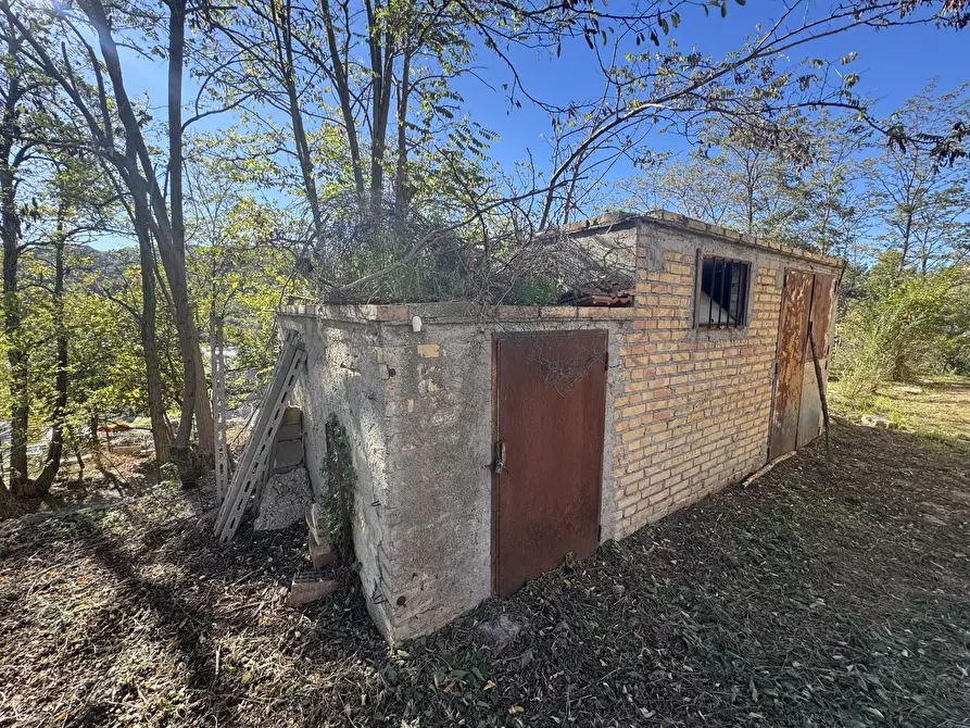 Immagine 34 di Rustico / casale in vendita  a Atessa