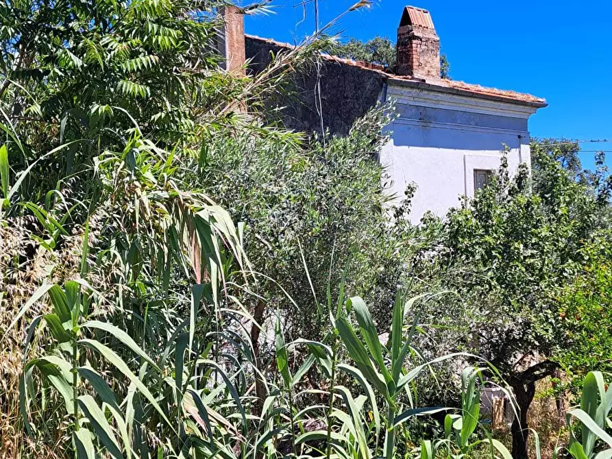 Immagine 11 di Rustico / casale in vendita  in STRADA P. MEDIANA 51 a Fossacesia