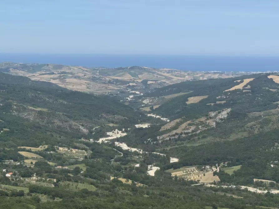 Immagine 77 di Terratetto in vendita  a San Buono