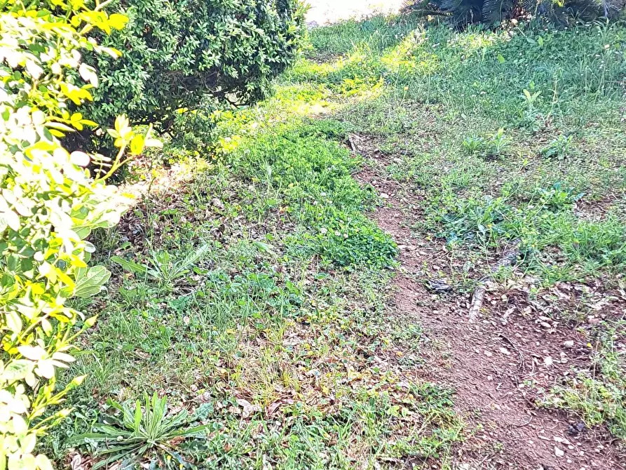 Immagine 21 di Quadrilocale in affitto  in Contrada Villa Andreoli 244 a Lanciano