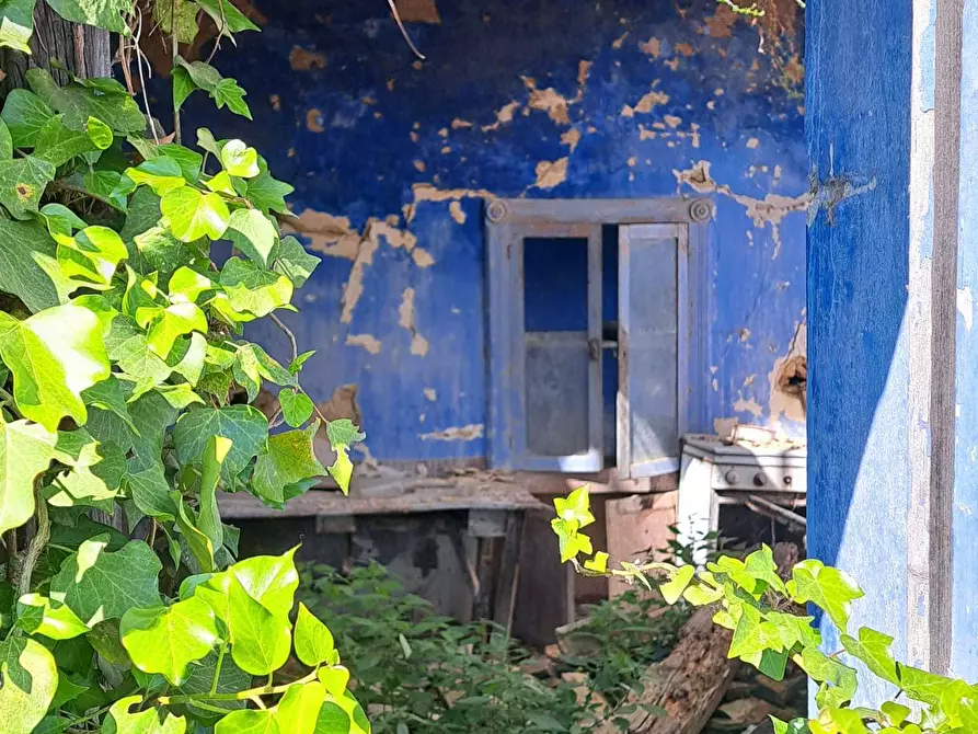 Immagine 23 di Rustico / casale in vendita  in C.DA CASTELLANA a Treglio