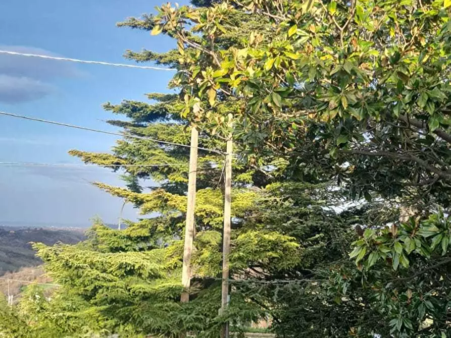 Immagine 22 di Casa bifamiliare in vendita  in Contrada Coste di Moro 23 a Orsogna