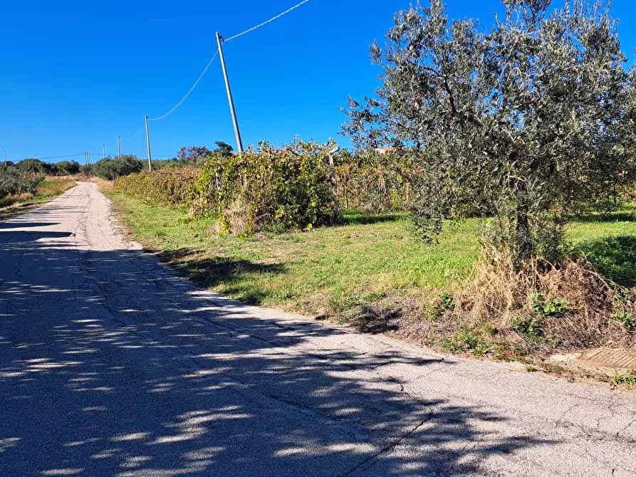 Immagine 4 di Rustico / casale in vendita  in via colle della fonte 94 a Frisa