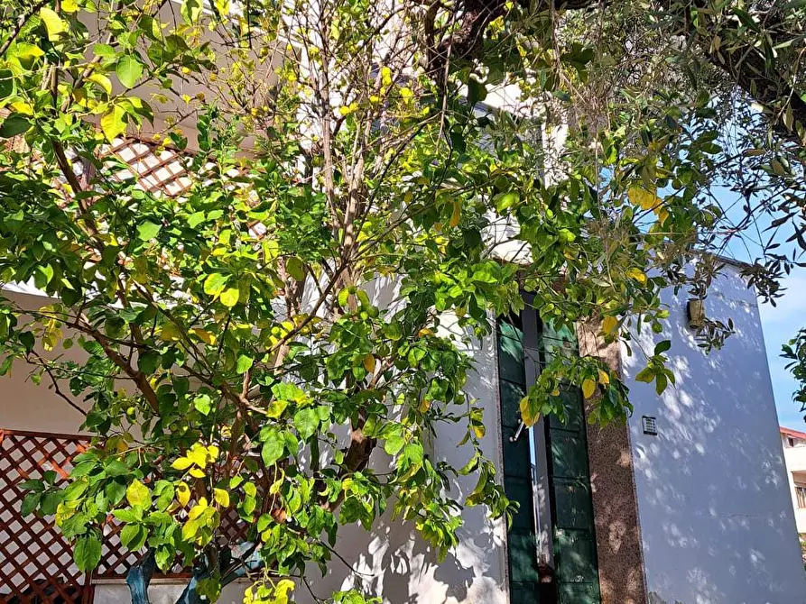 Immagine 39 di Attico in vendita  in Contrada Santa Croce 164 a Lanciano