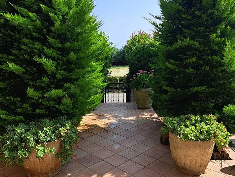 Immagine 12 di Villa in vendita  in villa andreoli a Lanciano