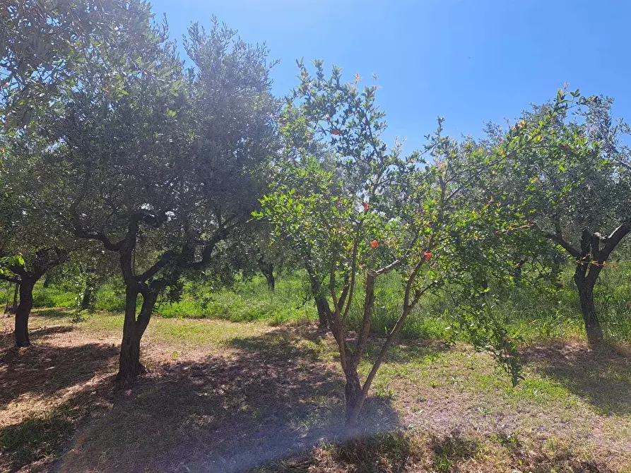 Immagine 55 di Casa indipendente in vendita  in contrada follani 260 a Lanciano