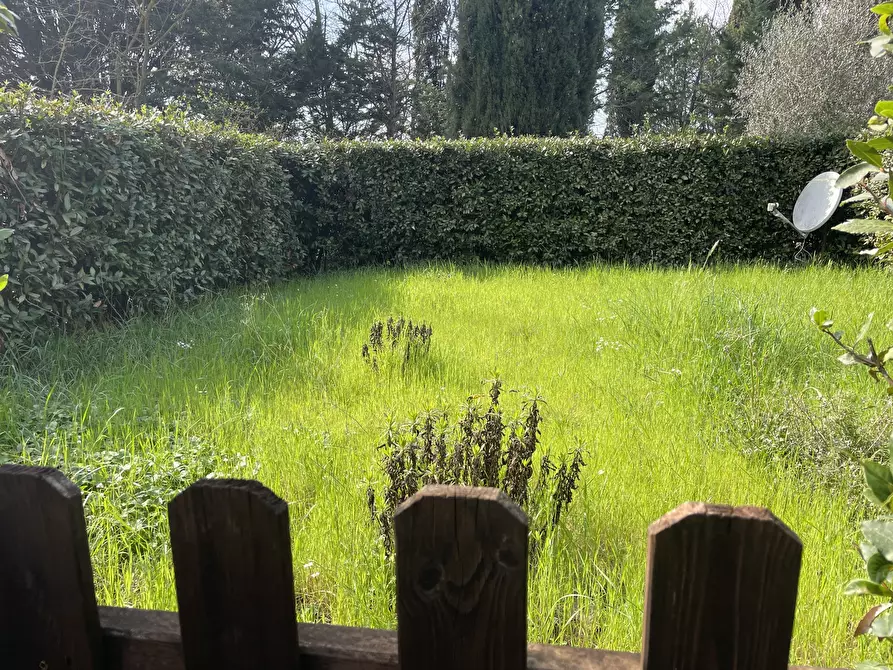 Immagine 12 di Trilocale in vendita  in Località San Martino a Riparbella