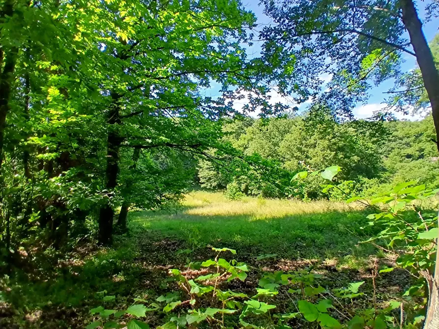 Immagine 4 di Terreno agricolo in vendita  in Via delle Querce a Manziana