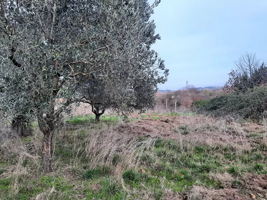 Immagine 1 di Terreno agricolo in vendita  in Via dei gerani 2 a Morlupo