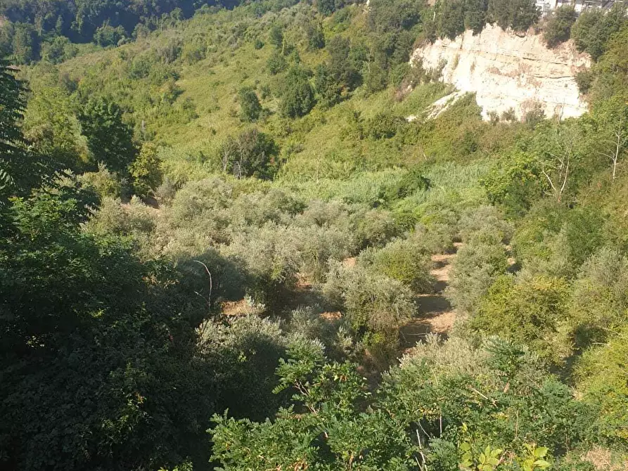 Immagine 12 di Terreno agricolo in vendita  in Via Giulio Roncacci 1 a Morlupo