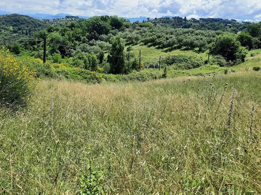 Immagine 6 di Terreno agricolo in vendita  in Via delle Grotte 2920 a Morlupo